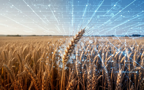 ASYAGRO: Metaverse für Agrarwirtschaft - Foto: über boerse-global.de