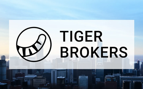 Tiger Gold Aktie: Fokus auf Expansion - Foto: über boerse-global.de
