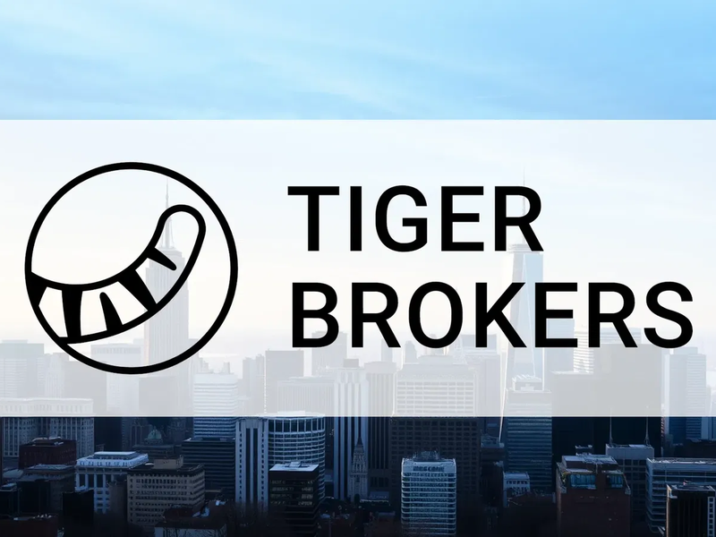 Tiger Gold Aktie: Fokus auf Expansion - Foto: über boerse-global.de