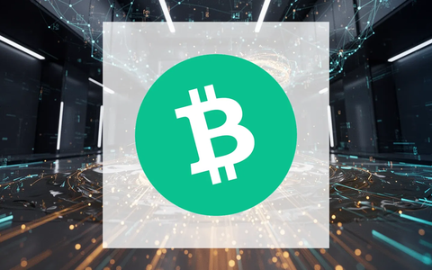 Bitcoin Cash: Liquiditäts-Offensive bei Binance - Foto: über boerse-global.de