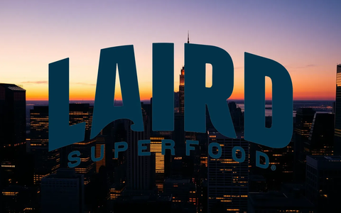 Analyzing the L1 Long Short Fund's Current Strategy - Foto: über boerse-global.de