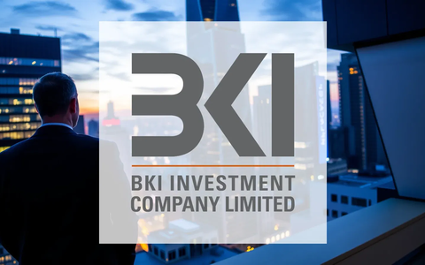 Assessing BKI Investment: Dividend Stability and Portfolio Value - Foto: über boerse-global.de