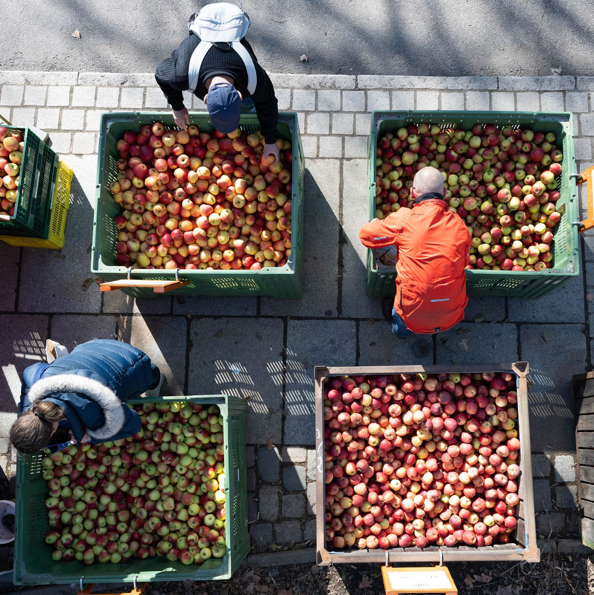 Die Lebensmittelpreise sind seit 2021 um rund ein Drittel gestiegen - mit dem Iran-Krieg droht neuer Preisdruck. - Foto: Sebastian Kahnert/dpa