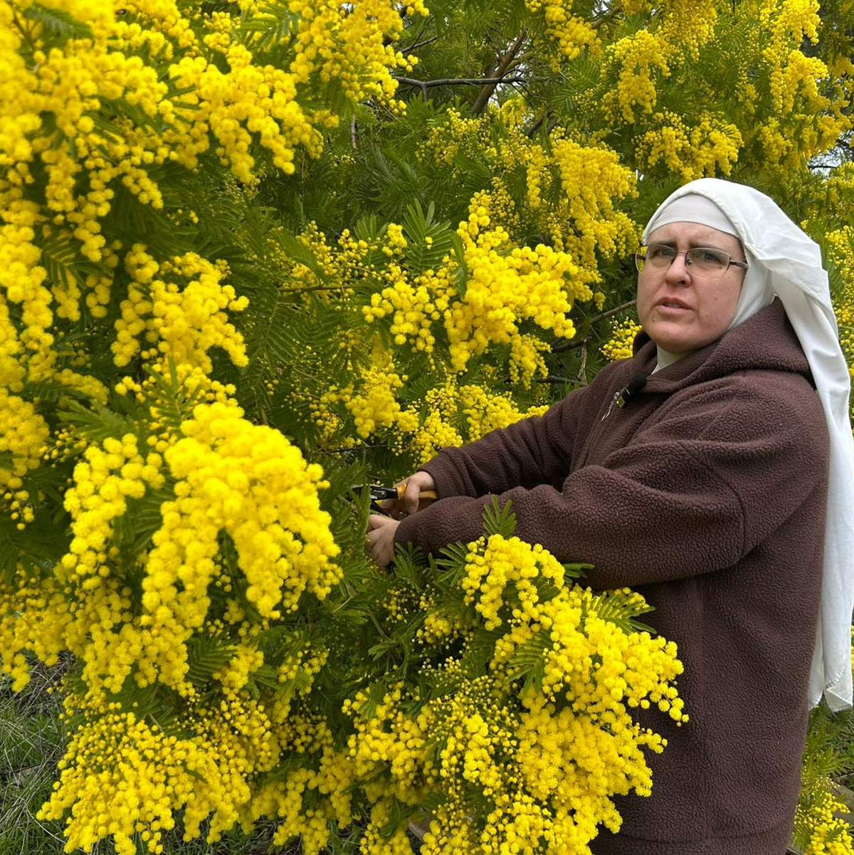 Schwester Paloma beklagt eine 