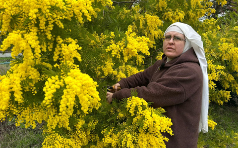 Schwester Paloma beklagt eine Verfolgung und bittet um Hilfe. (Handoutbild) - Foto: ---/Francisco Canals/dpa