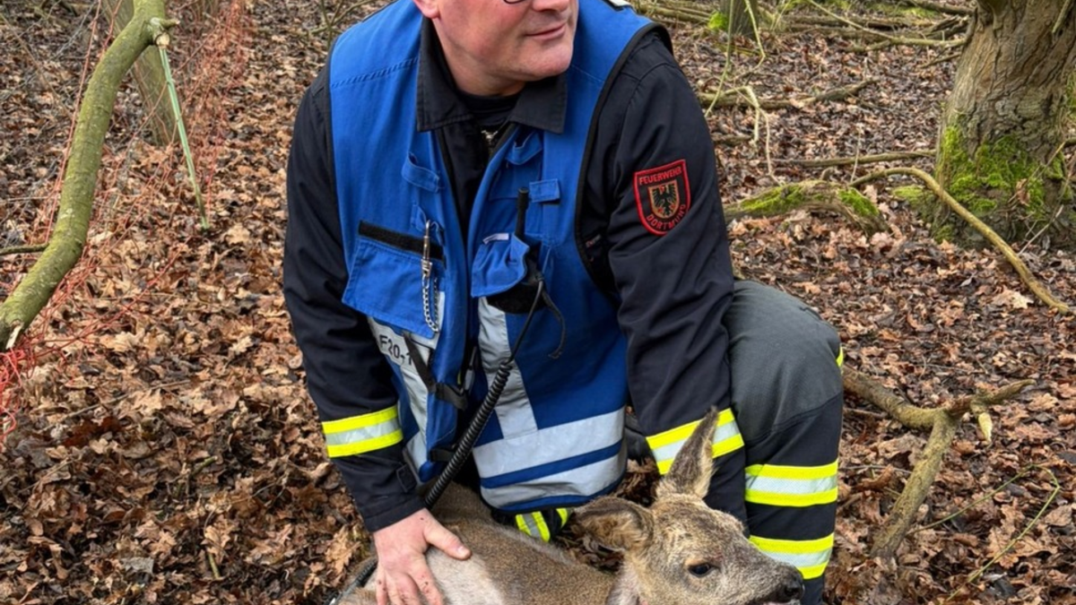 FW-DO: Rehkitz in Notlage - Foto: presseportal.de