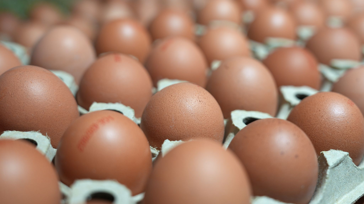 Die Verbraucher essen mehr Eier als noch vor ein paar Jahren. - Foto: Marcus Brandt/dpa