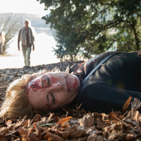 Und Action: Dreharbeiten für dritten Spielfilm Knockout (AT) und 40. Staffel Großstadtrevier - Foto: presseportal.de