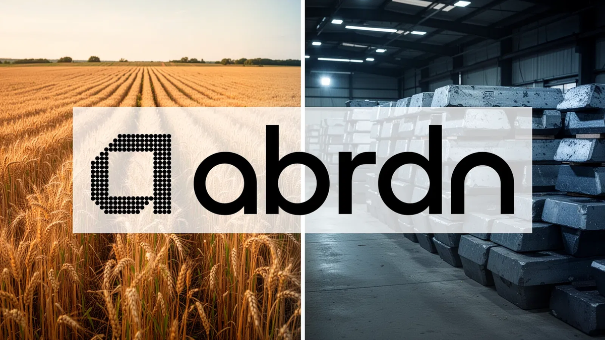 BCD ETF: Rohstoffmärkte gespalten - Foto: über boerse-global.de