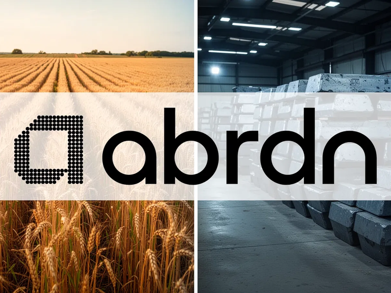 BCD ETF: Rohstoffmärkte gespalten - Foto: über boerse-global.de