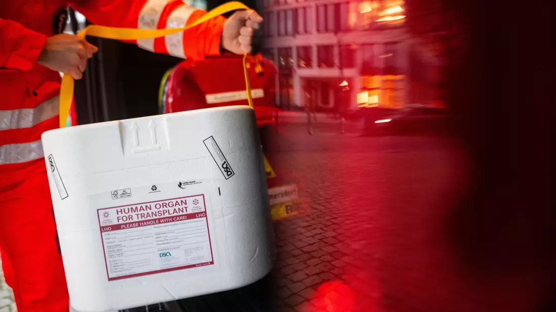 Im vergangenen Jahr haben in Deutschland 985 Menschen nach ihrem Tod ein Organ oder mehrere Organe gespendet. (Symbolbild). - Bild: Sebastian Gollnow/dpa/dpa-tmn