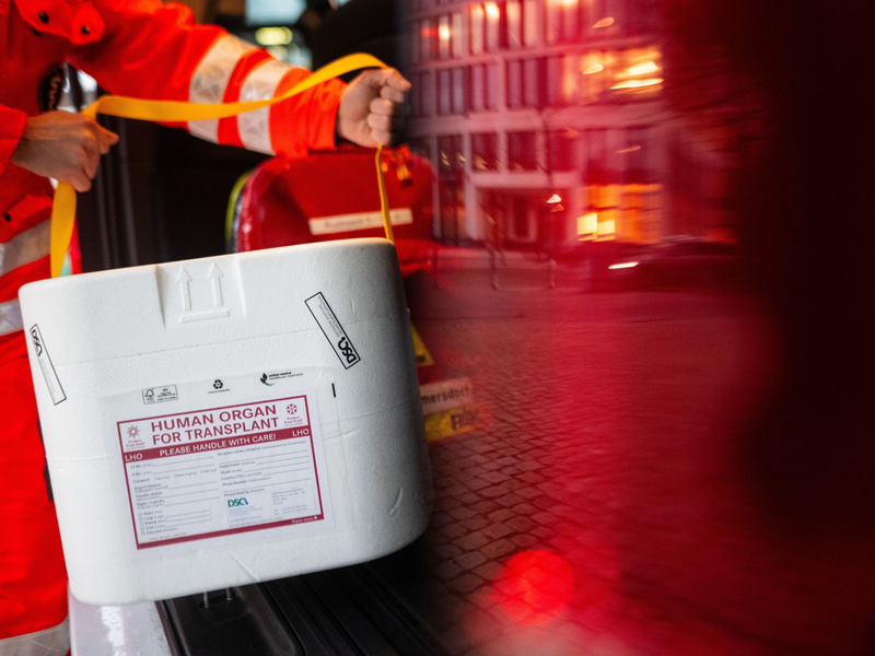 Im vergangenen Jahr haben in Deutschland 985 Menschen nach ihrem Tod ein Organ oder mehrere Organe gespendet. (Symbolbild). - Foto: Sebastian Gollnow/dpa/dpa-tmn