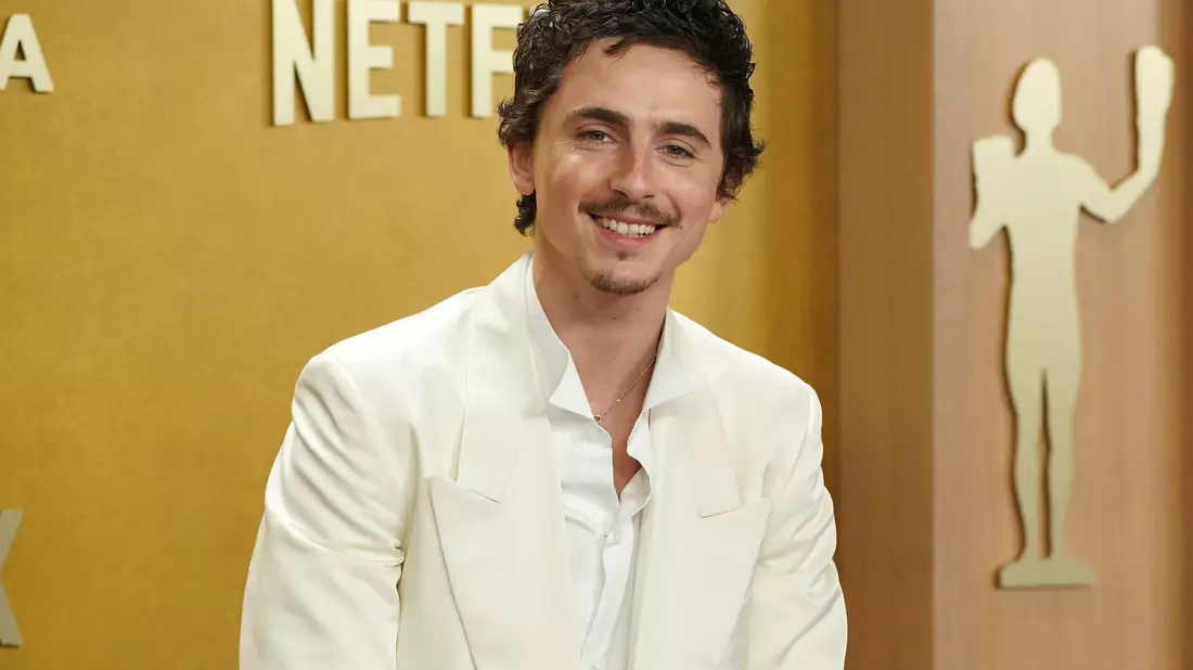 Timothée Chalamet ist für seine Rolle in «Marty Supreme» erneut für einen Oscar nominiert. (Archivbild) - Bild: Jordan Strauss/Invision/AP/dpa