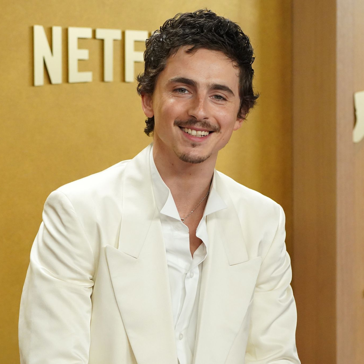 Timothée Chalamet ist für seine Rolle in «Marty Supreme» erneut für einen Oscar nominiert. (Archivbild) - Foto: Jordan Strauss/Invision/AP/dpa