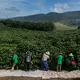 Heftiger Starkregen bedroht laut einer Studie zunehmend die Kaffeeproduktion im weltweit größten Anbauland Brasilien. (Archivbild) - Bild: Andre Penner/AP/dpa