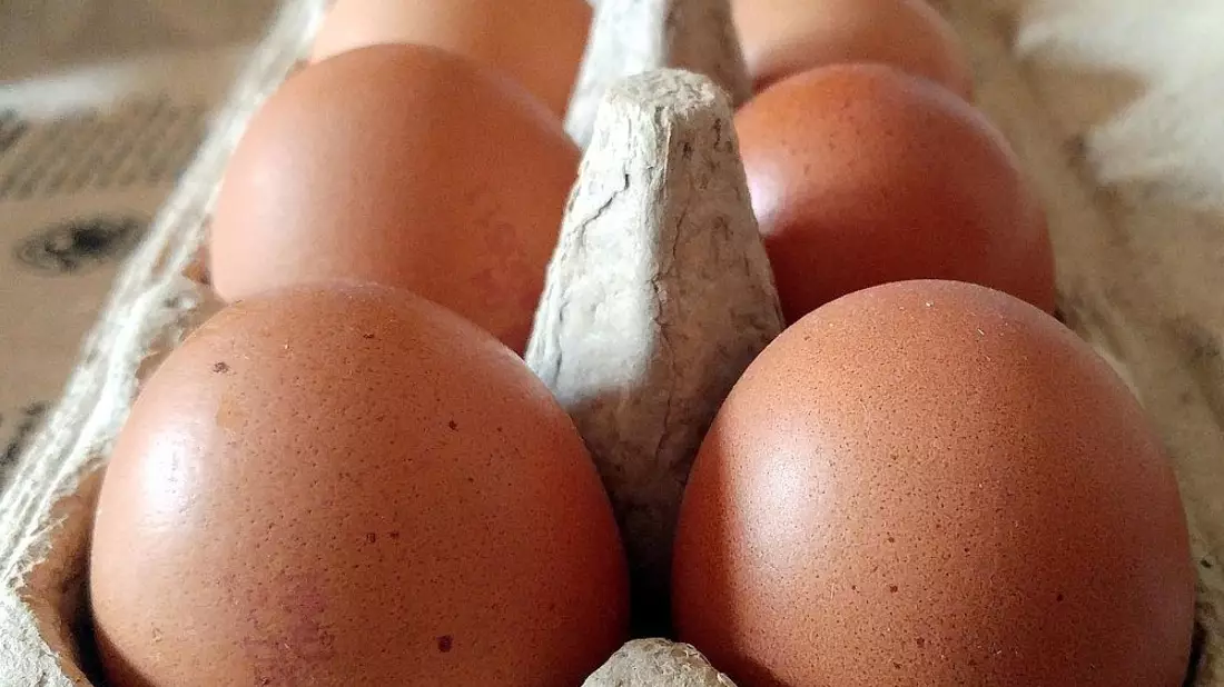 Eier (Archiv) - Bild: via dts Nachrichtenagentur