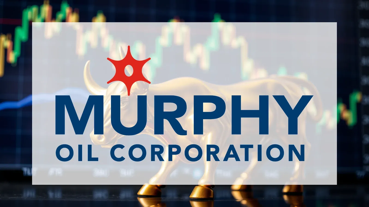 Murchison Minerals Aktie: Existenzsorgen? - Foto: über boerse-global.de