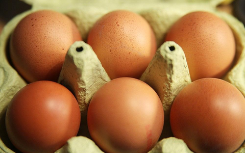 Eier (Archiv) - Foto: via dts Nachrichtenagentur