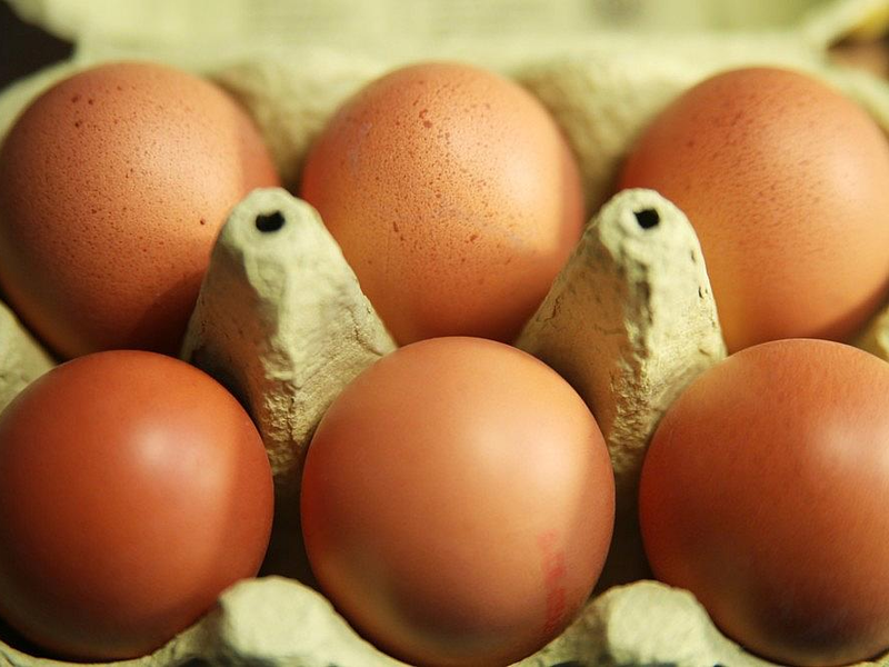Eier (Archiv) - Foto: via dts Nachrichtenagentur