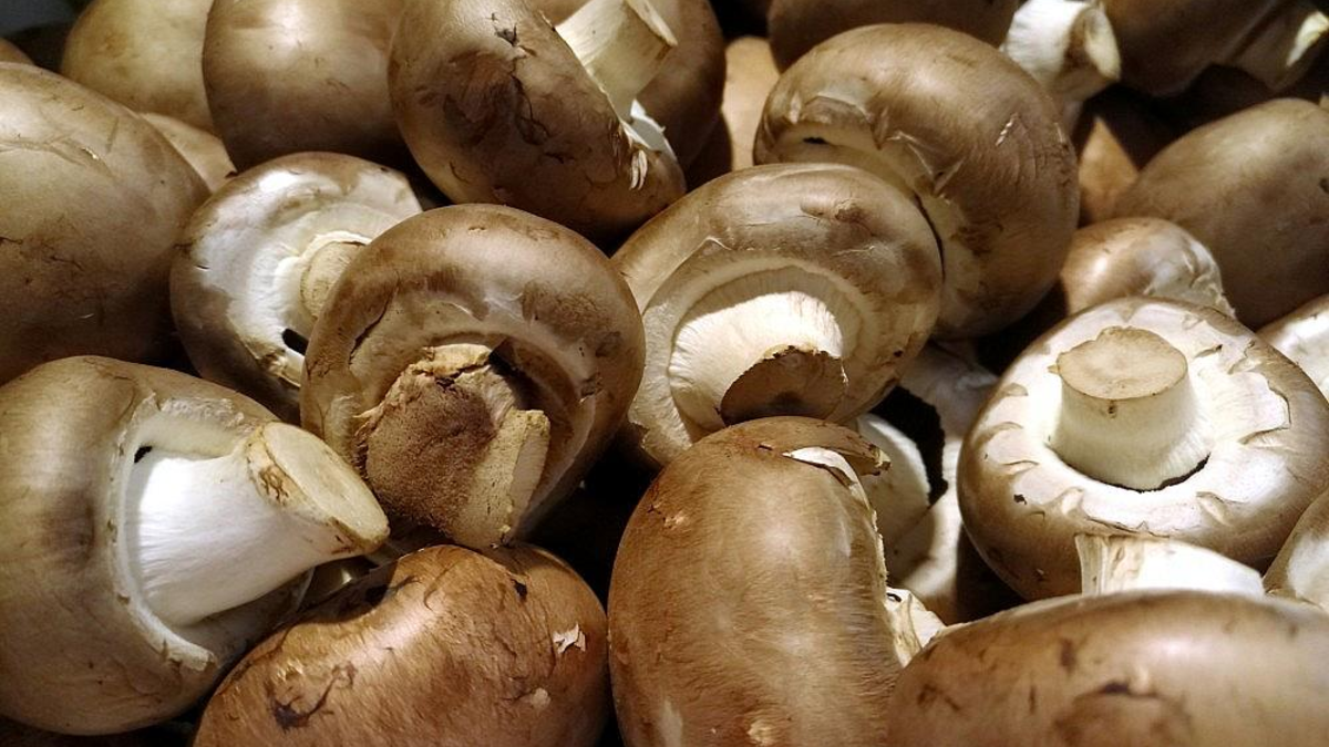 Pilze (Archiv) - Foto: via dts Nachrichtenagentur