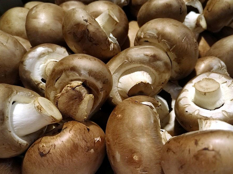 Pilze (Archiv) - Foto: via dts Nachrichtenagentur