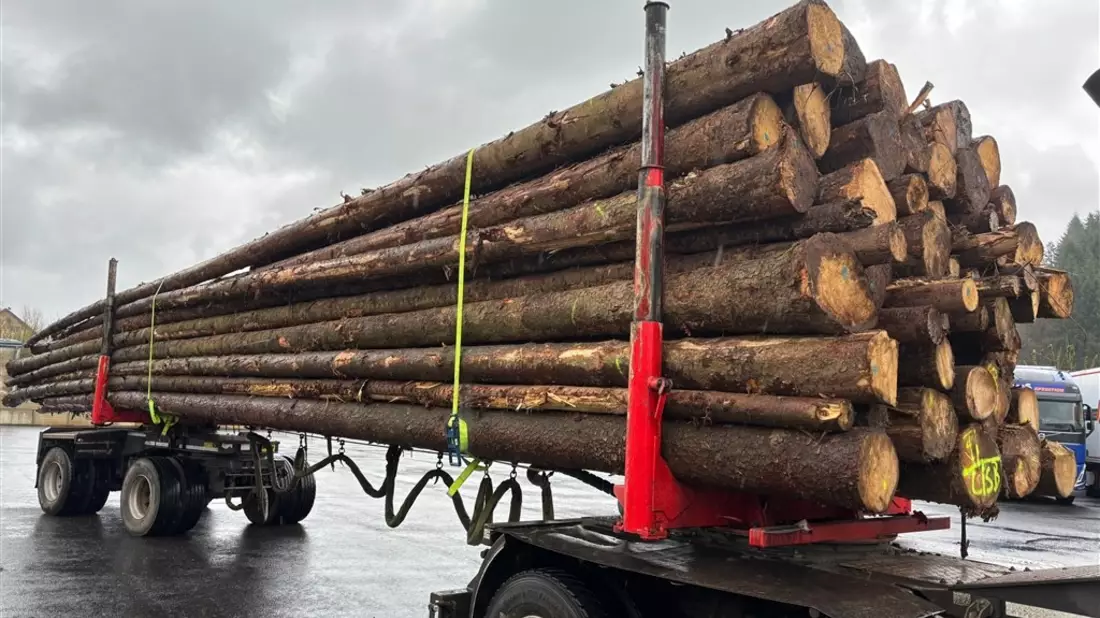 POL-PPTR: Langholztransport massiv überladen - Genehmigungen eingezogen - Bild: presseportal.de
