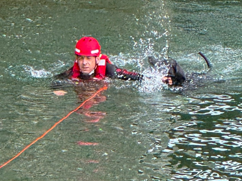 FW-M: Vier Pfoten auf Abwegen - Feuerwehr rettet Hund aus Isar (Oberföhring) - Foto: presseportal.de