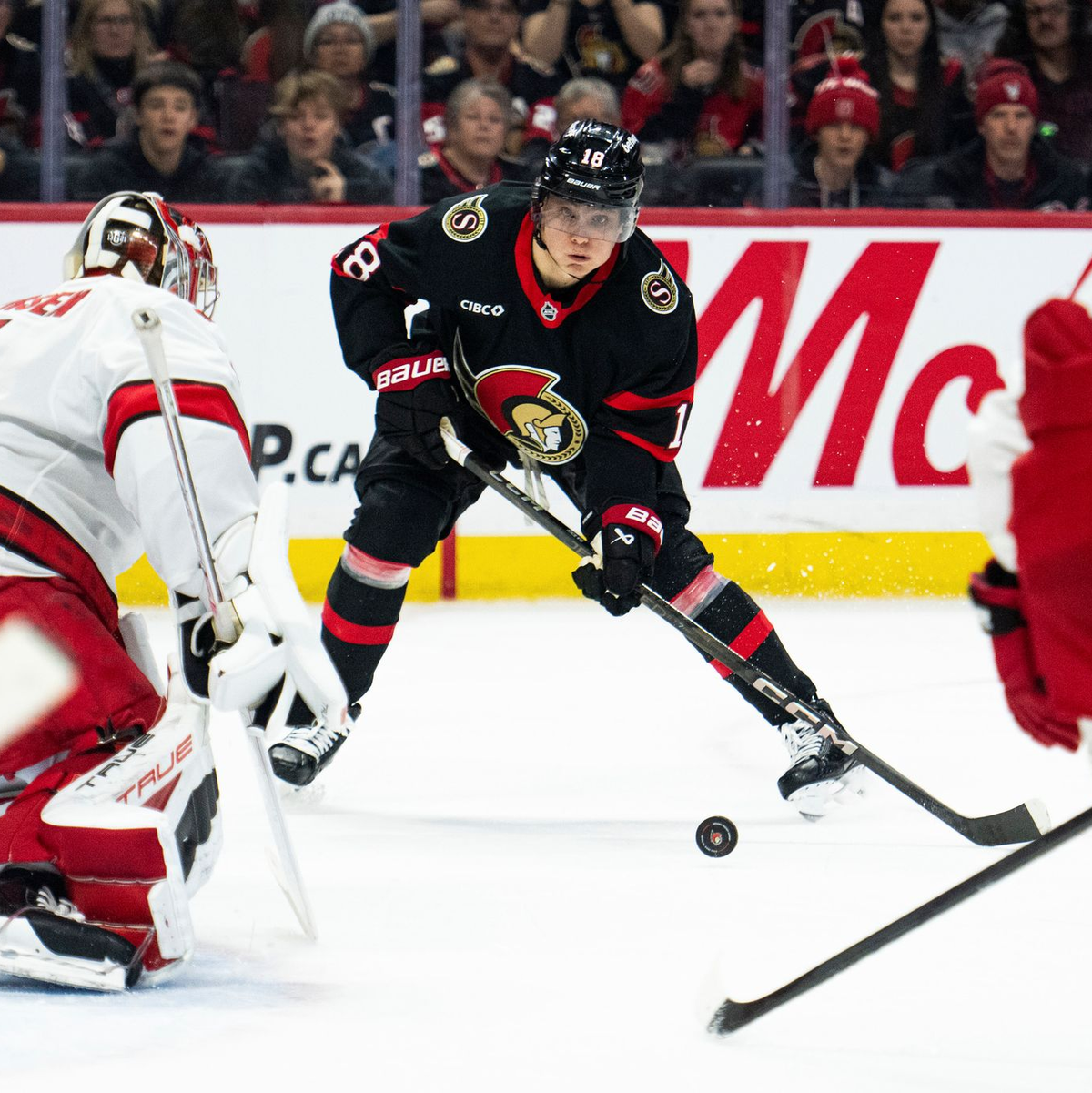 Eishockey-Star Stützle kommt mit Ottawa nach Deutschland. (Archivbild) - Foto: Spencer Colby/The Canadian Press/AP/dpa