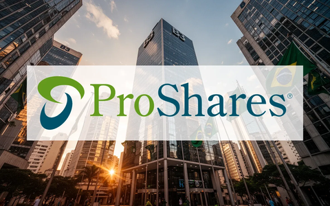 ProShares Brazil ETF: Hebel-Wirkung - Foto: über boerse-global.de