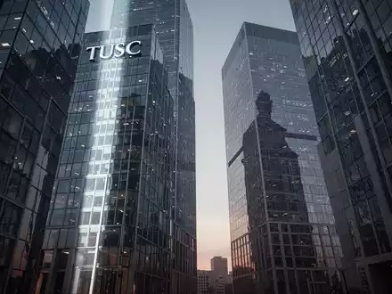 TUSC: Institutionelle Konkurrenz naht - Foto: über boerse-global.de