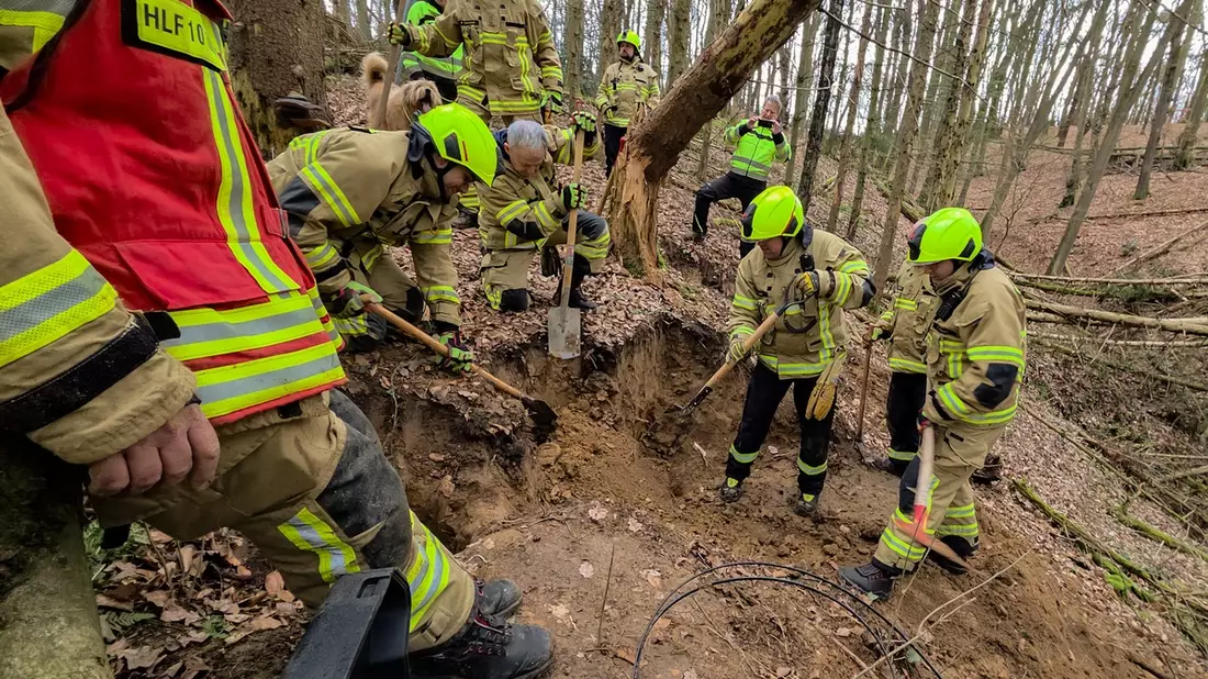 FW Wachtberg: Feuerwehr Wachtberg befreit Hund aus Fuchsbau in einem Waldstück bei Wachtberg-Villip - Bild: presseportal.de