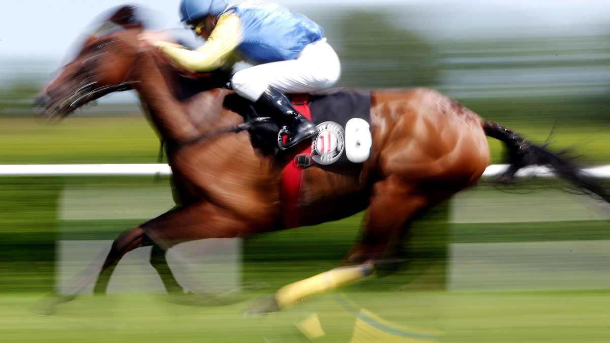 In einer Suppenküche findet ein Gast in seinem Essen den Mikrochip eines ehemaligen Rennpferdes. (Symbolfoto) - Foto: Malte Christians/dpa/dpa-tmn
