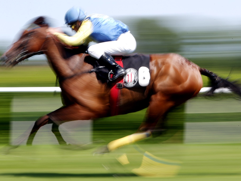 In einer Suppenküche findet ein Gast in seinem Essen den Mikrochip eines ehemaligen Rennpferdes. (Symbolfoto) - Foto: Malte Christians/dpa/dpa-tmn