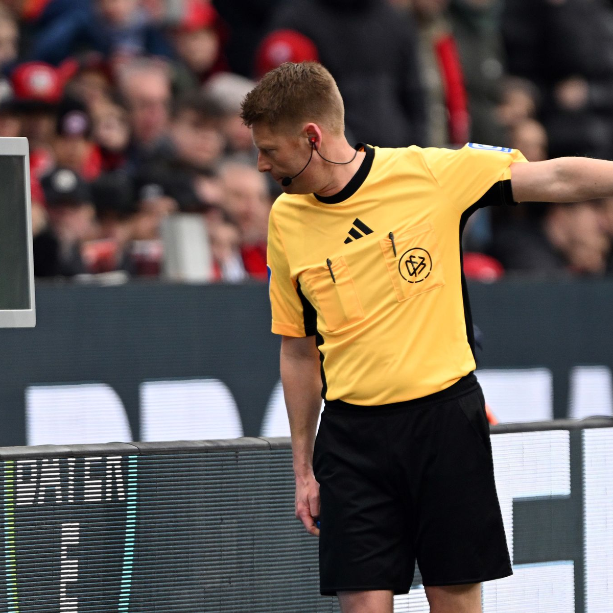 Hatte viel zu tun: Schiedsrichter Christian Dingert. - Foto: Federico Gambarini/dpa