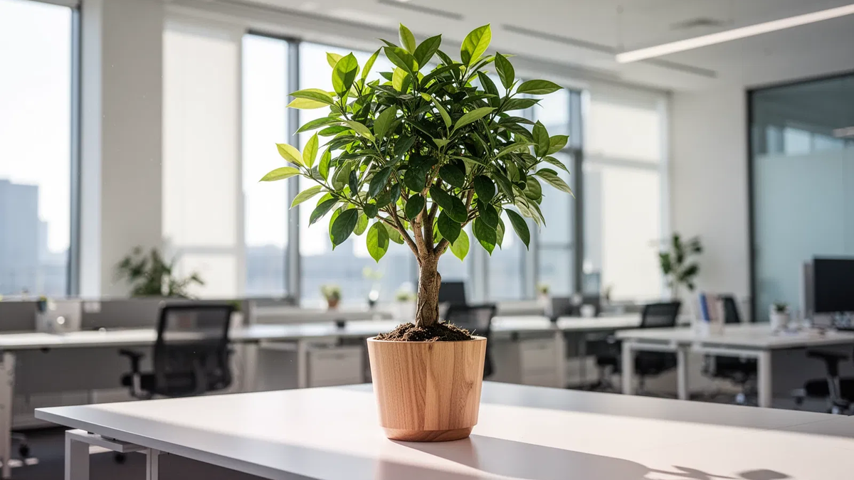 Braintrust: Wachstum im Fokus - Foto: über boerse-global.de