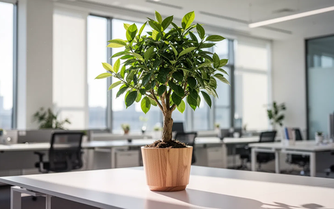 Braintrust: Wachstum im Fokus - Foto: über boerse-global.de