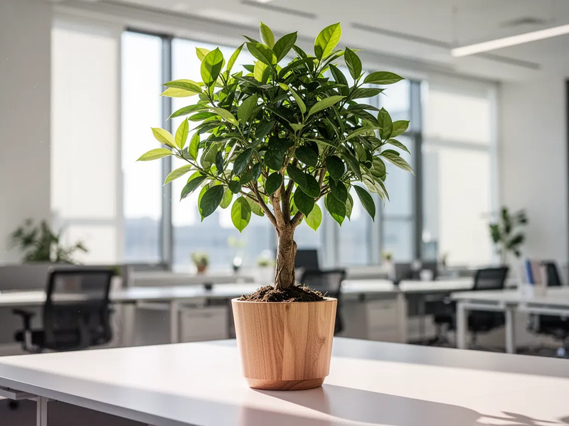 Braintrust: Wachstum im Fokus - Foto: über boerse-global.de