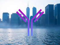 Adagio Therapeutics Aktie: Fokus Konferenzen - Foto: über boerse-global.de