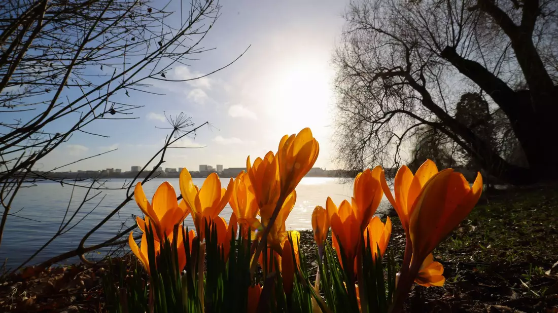 In der nächsten Woche wird es wieder wärmer und sonniger. - Bild: Christian Charisius/dpa