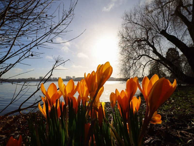 In der nächsten Woche wird es wieder wärmer und sonniger. - Foto: Christian Charisius/dpa