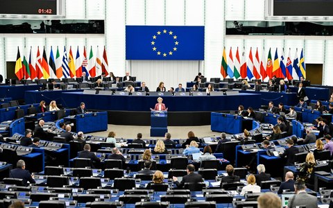 Die EVP ist im Europäischen Parlament die mit Abstand größte Fraktion - bei Abstimmungen braucht sich aber dennoch Partner. (Archivbild)  - Foto: Pascal Bastien/AP/dpa