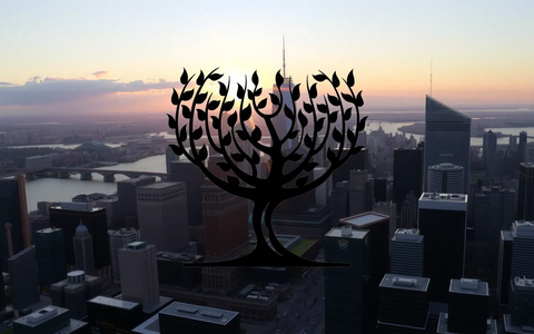 Fevertree Drinks Aktie: Kapital im Fokus - Foto: über boerse-global.de