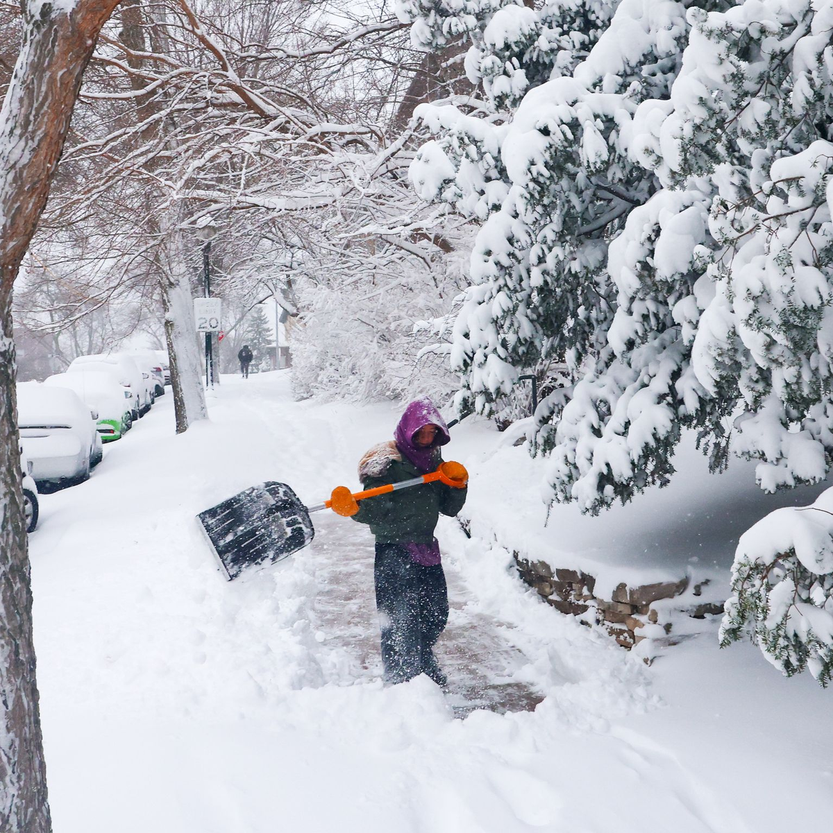 In Teilen der nördlichen USA fiel viel Schnee.  - Foto: Owen Ziliak/Wisconsin State Journal/AP/dpa