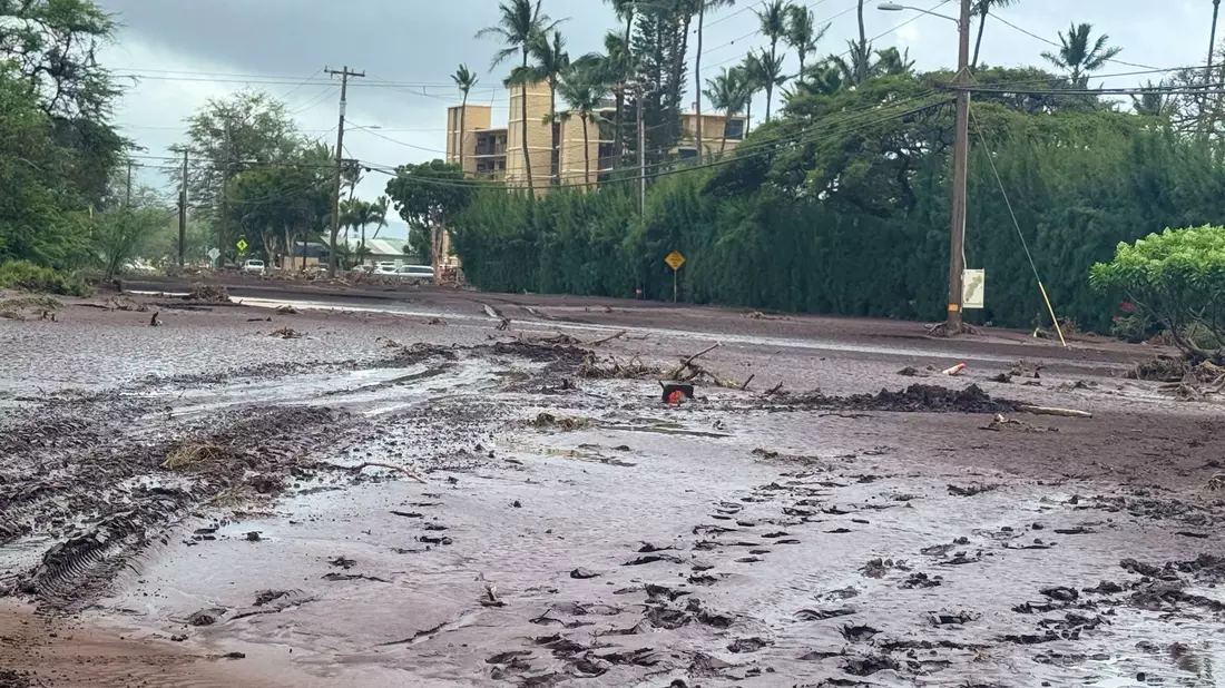 Auf Hawaii fiel viel Regen. - Bild: Athena Walsh/Athena Walsh/AP/dpa