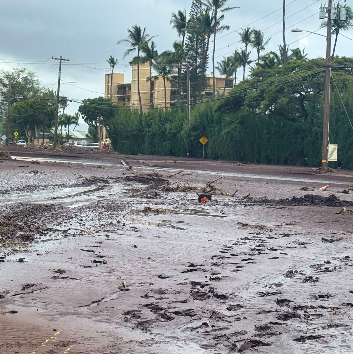 Auf Hawaii fiel viel Regen. - Foto: Athena Walsh/Athena Walsh/AP/dpa