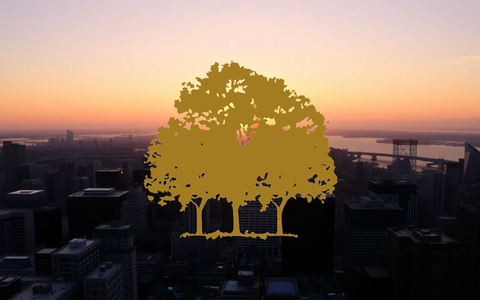Canopy Growth Targets Profitability with Strategic Acquisition - Foto: über boerse-global.de