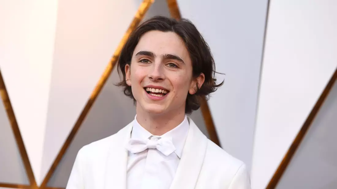 Timothée Chalamet, damals 22, bei den Oscars 2018 auf dem roten Teppich des Dolby Theatre in Hollywood. (Archivbild) - Bild: Jordan Strauss/Invision/AP/dpa