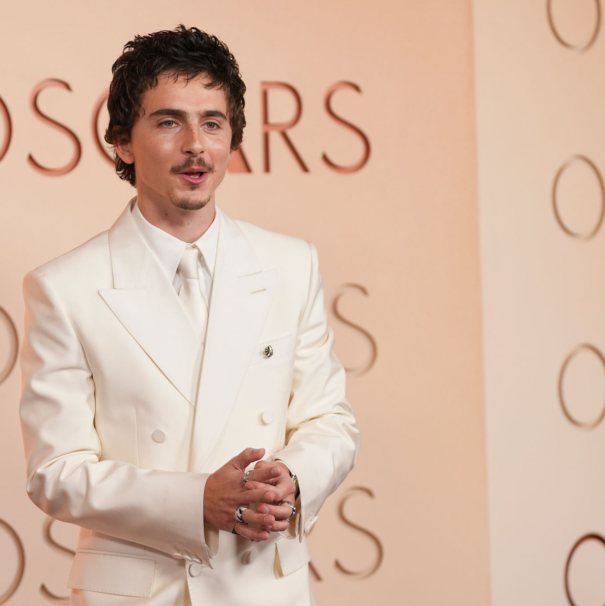 Verpasste seine dritte Chance auf einen Hauptdarsteller-Oscar: Timothée Chalamet. - Foto: Gregory Bull/Invision/AP/dpa