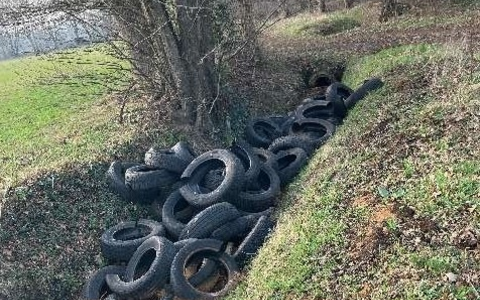 POL-EL: Wietmarschen - Illegale Entsorgung von 40 Autoreifen - Zeugen gesucht - Foto: presseportal.de