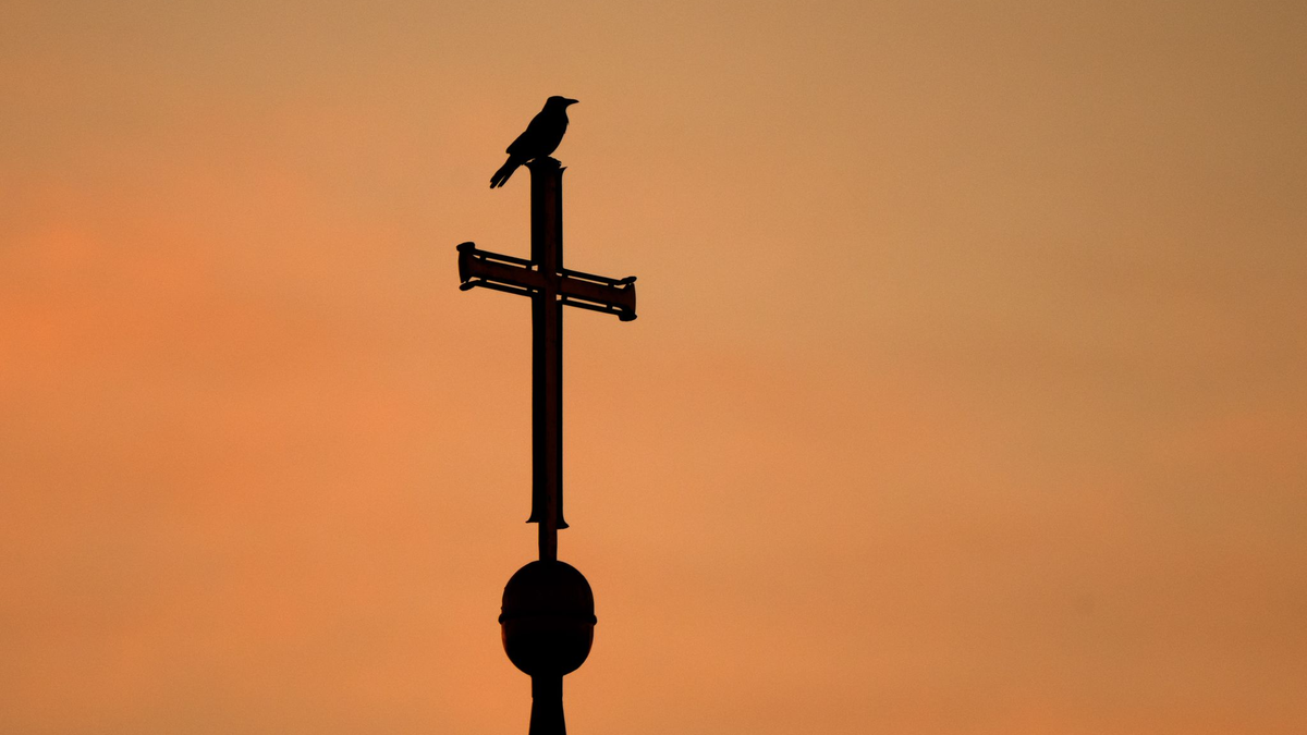 Im Fall einer Caritas-Mitarbeiterin hat das höchste europäische Gericht entschieden. (Archivbild) - Foto: Julian Stratenschulte/dpa